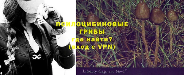 молекула духа Баксан