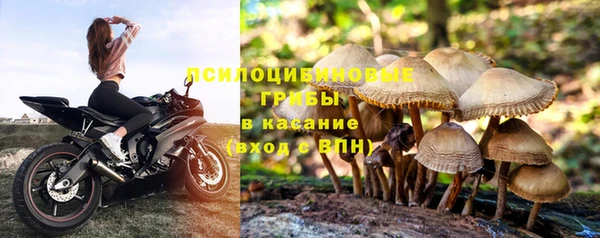 mdpv Балахна