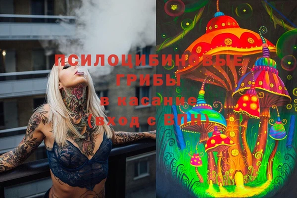 молекула духа Баксан