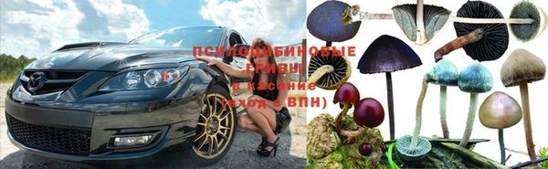 молекула духа Баксан