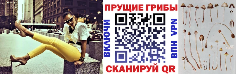 Псилоцибиновые грибы ЛСД  Галич 